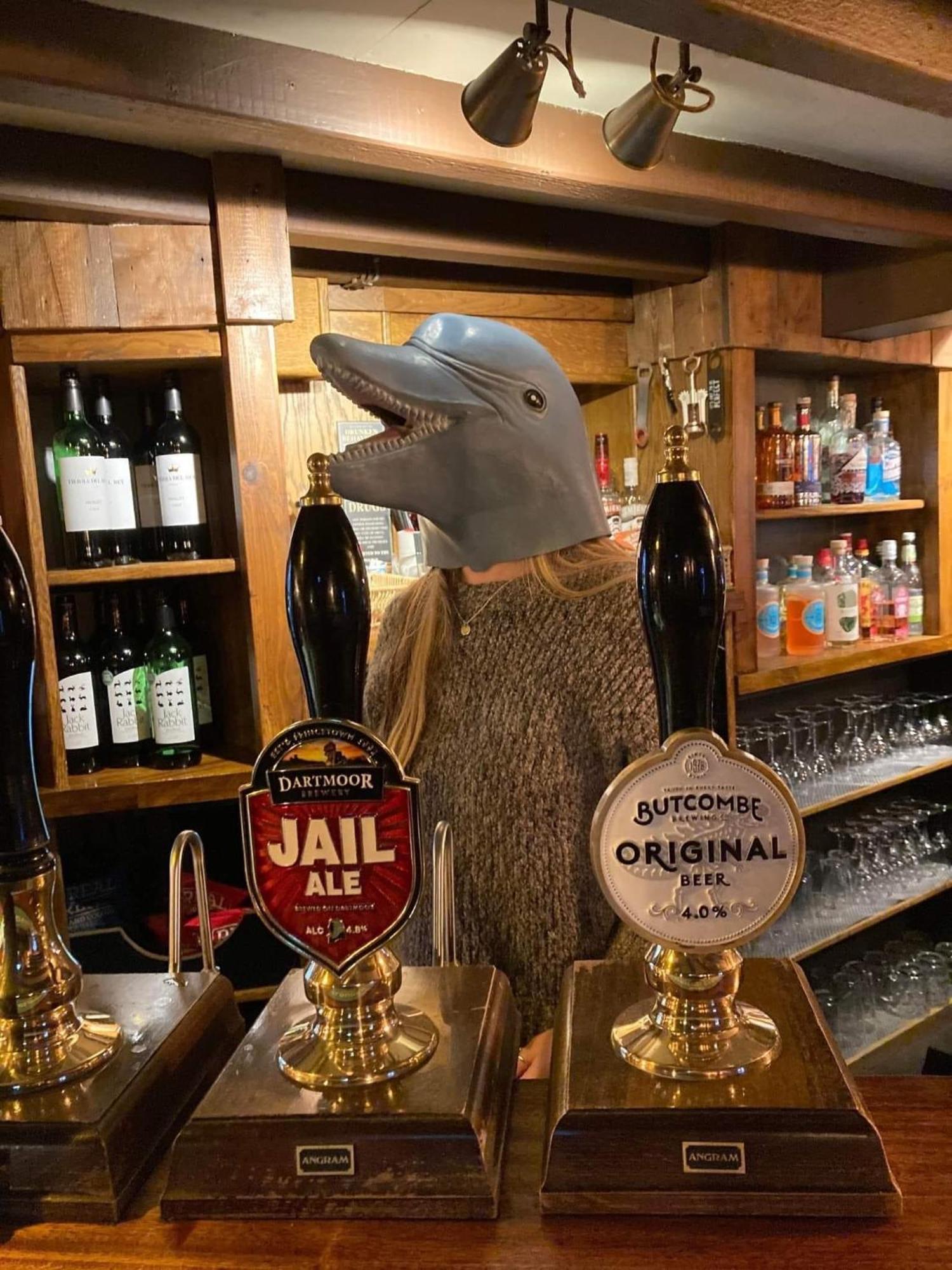The Dolphin Inn Kingsbridge  Quarto foto